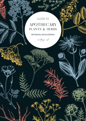 Apothecary banner design template. Witchcraft background. Herbal remedies, medicinal plant, witch herbs, natural medicine hand-drawn vector illustration. NOT AI genereted